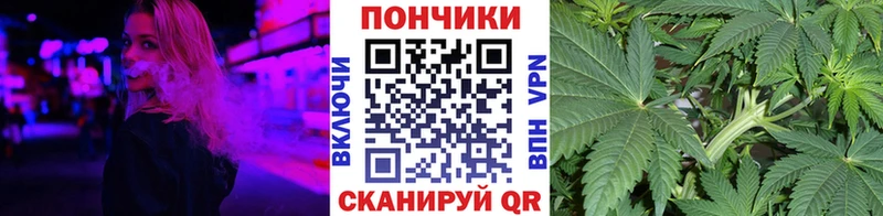 Каннабис план  площадка клад  Амурск 
